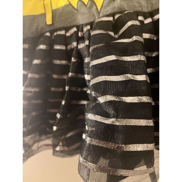 Batgirl Batman Toddler Girls Costume Tutu Dress Clothes Theater Costume Size 2T - Picture 10 of 14